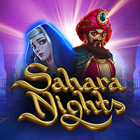 Sahara Nights